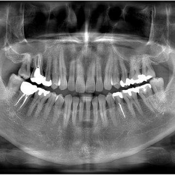 Oralxcucuta 16